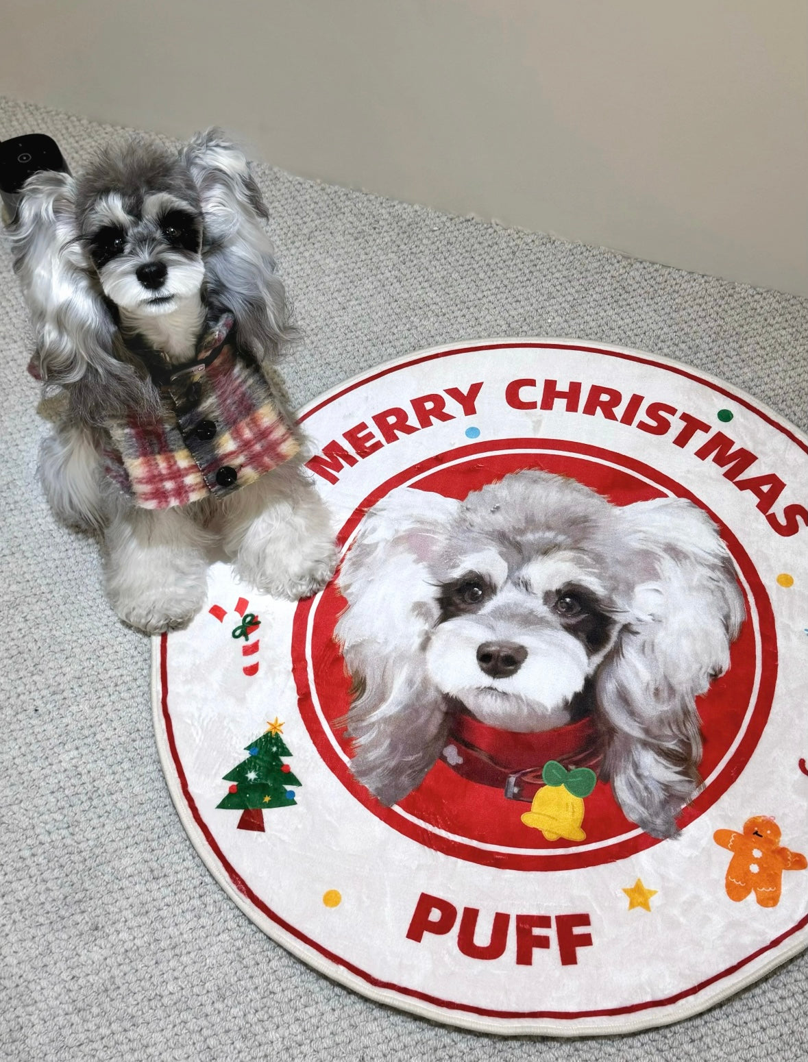 Custom Pet Photo Rug – Personalized Dog & Cat Carpet with Name