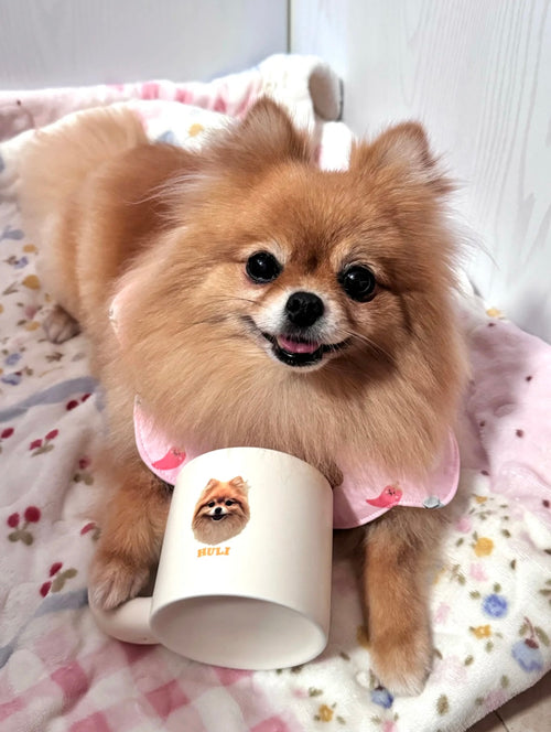 Custom Pet Mug – Personalized Ceramic Cup with Photo